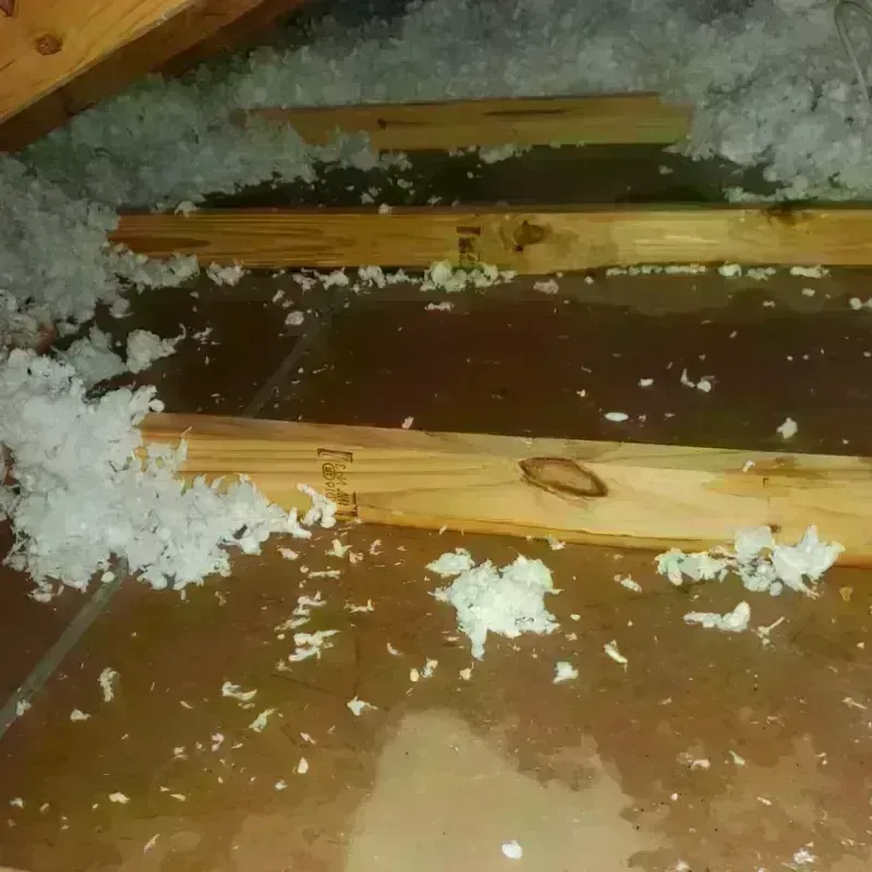 Attic Water Damage in Temperance, MI