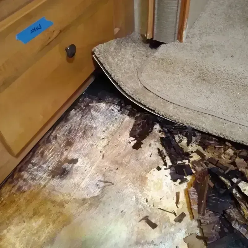 Wood Floor Water Damage in Temperance, MI